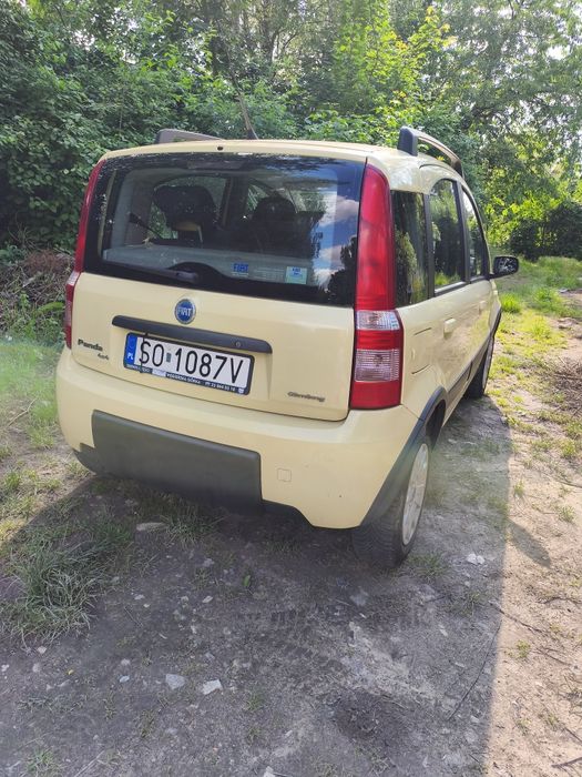 Fiat Panda 4x4 Climbing LPG