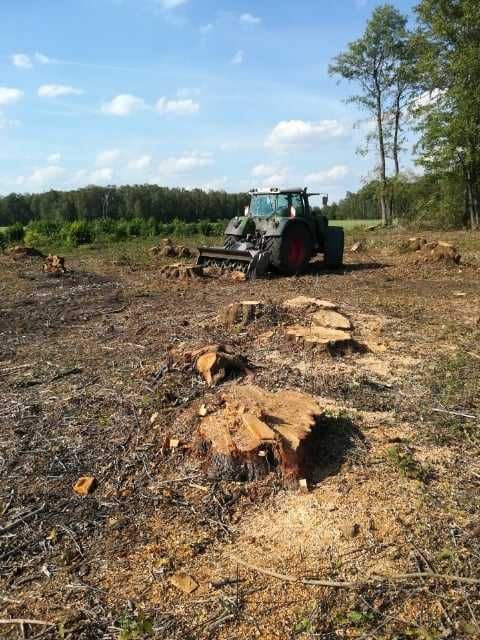 Zakupimy las, wyrąb lasów,wycinka drzew ,skup drewna, rekultywacja
