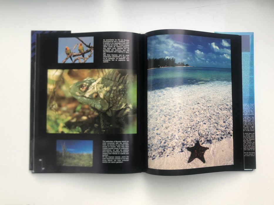 Sete Mares de João Pontes de Carvalho