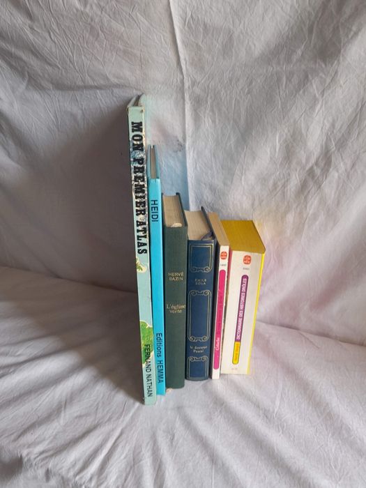 Livros culinária Francesa ETC