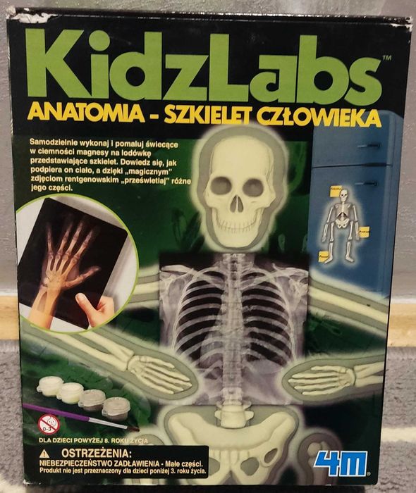 4M, zestaw naukowy Anatomia: Szkielet człowieka