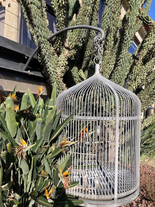 Gaiola de ferro, exclusiva para passáros