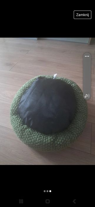 Posłanie żaba dla kota