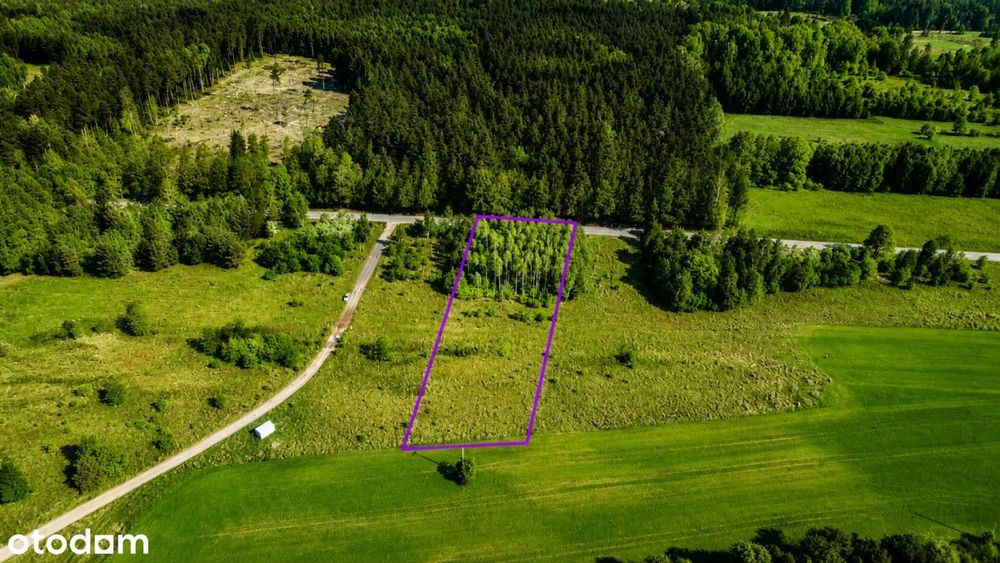 Działka budowlana 2660 m² przy lesie | Mpzp | Med – další