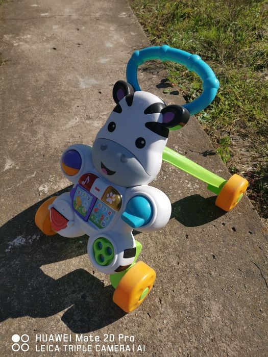 Pchacz zebra stan dobry