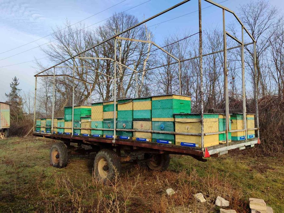 Пасіка. Бджолопавільйон. Вулики