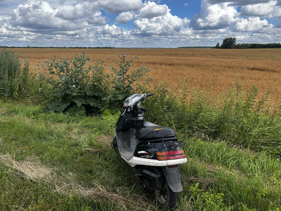 Honda Tact 24 Хонда Такт 24 65сс