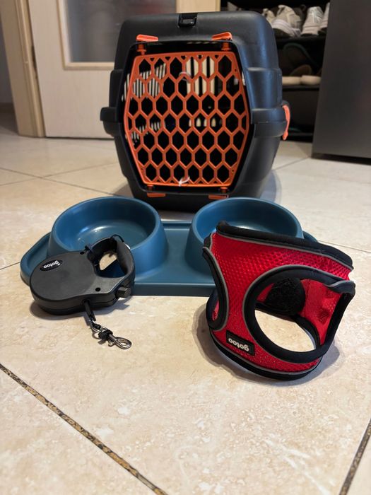 Conjunto para cão