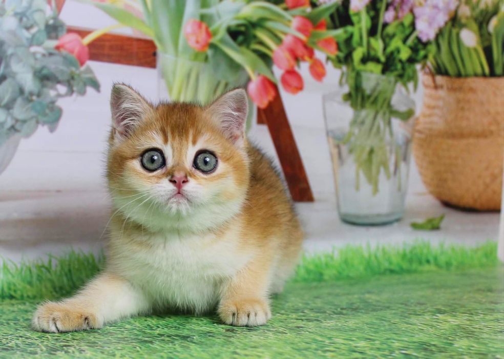 Супер мальчишка по имени Ухтыш!