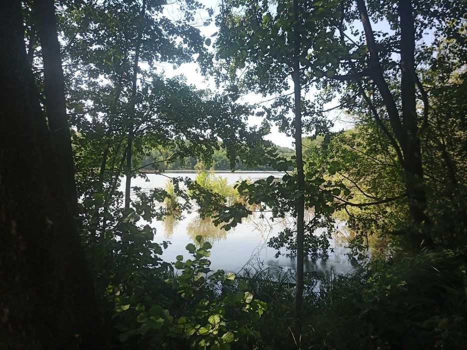 Продається земельна ділянка в Майдан-Чапельский