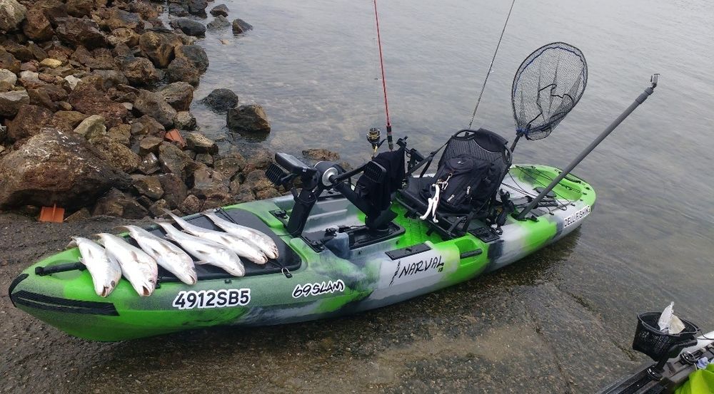 Caiaque de pesca Narval 13