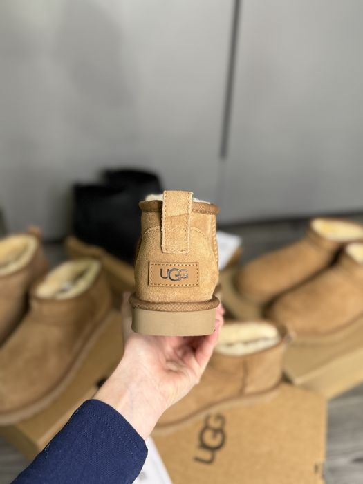 Угг классические угги ugg mini classic без платформы уг