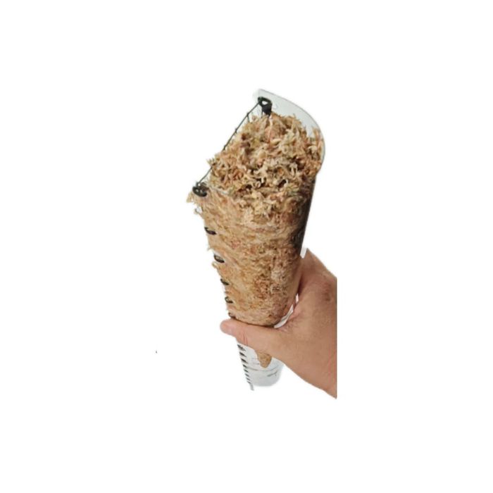 Palik XXL 50x5 z mchu sphagnum grow vertical
