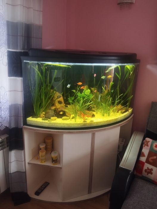 Akwarium 375 l bez wyposażenia