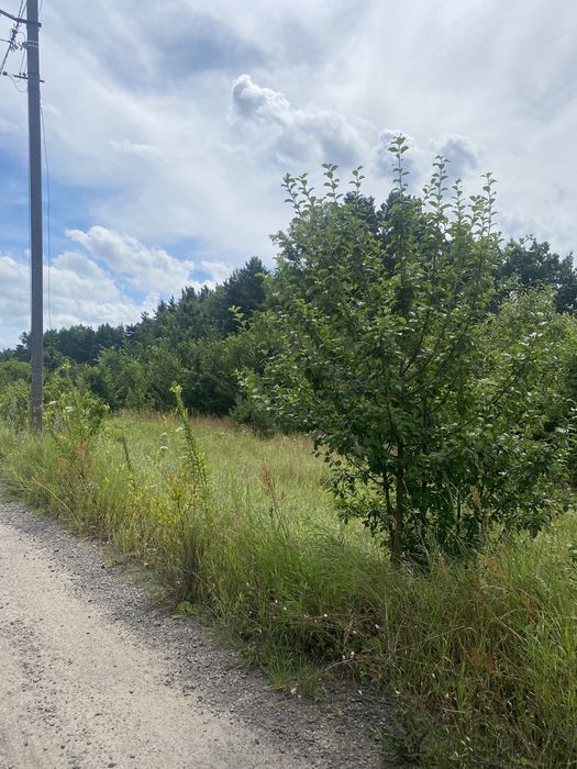 Продаж землі Івано-Франкове