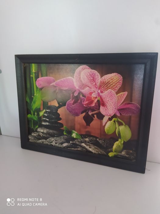 Obraz z ramką wymiary 27 x 20