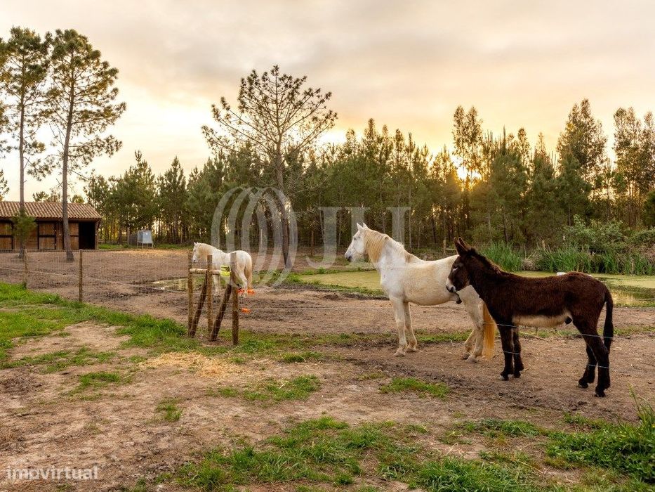 Apartamento T0 no Craveiral Farm House, Odemira, Alentejo
