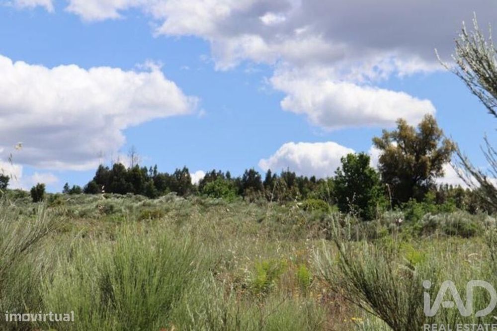 Terreno para construção em Seixo da Beira de 48000,00 m2