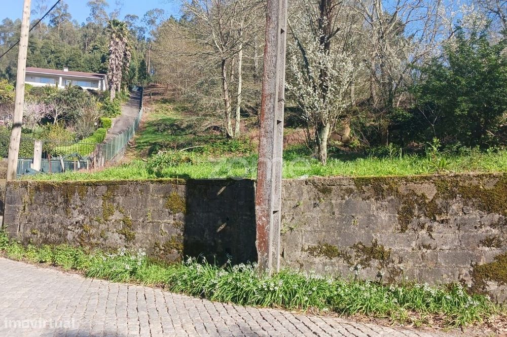 Terreno Misto
