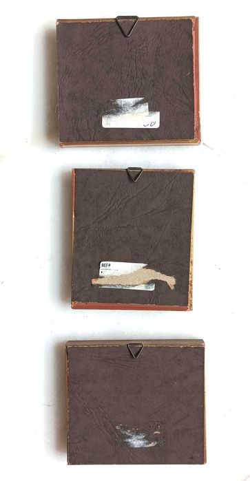 Conjunto de pequenas gravuras com molduras vintage