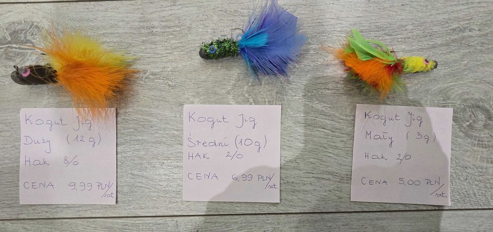 Zestaw Kogut Jig (3szt.) - różne rozmiary