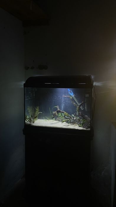 Aquário 85L  Montado C/ Móvel e Acessórios