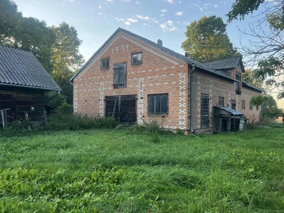 Zdjęcie 4