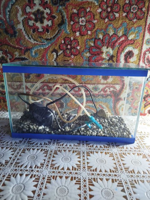 Продам акваріум на 5 літрів з ареатором