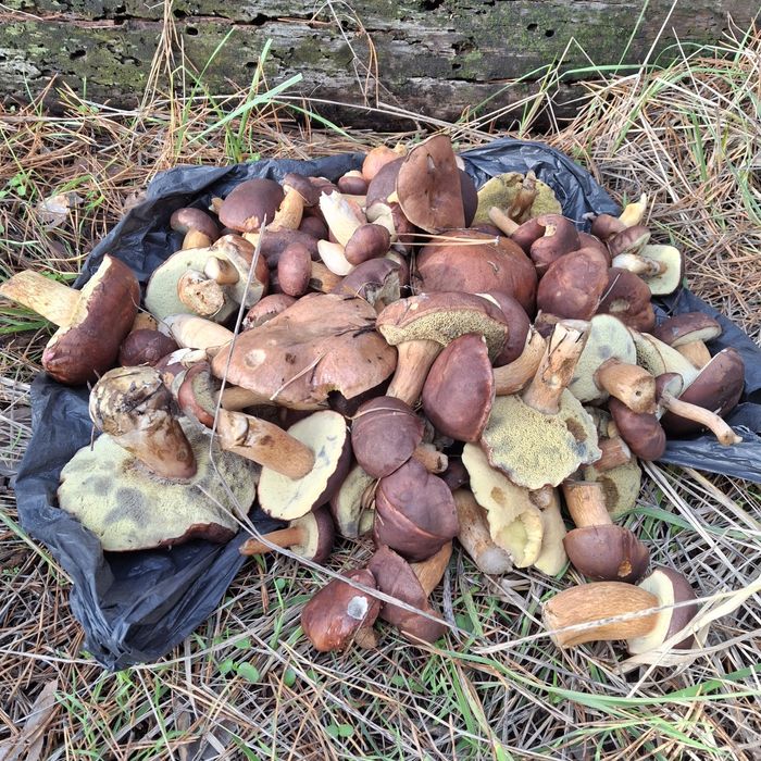 Продам лодку Крим.