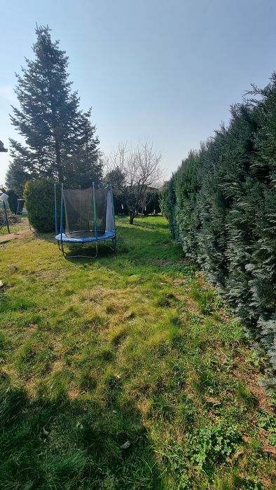 Działka Rodzinne Ogródki Działkowe nad Bukową ul .Południowa  4 - Widok 3