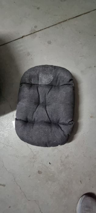 Transportadora animais + almofada