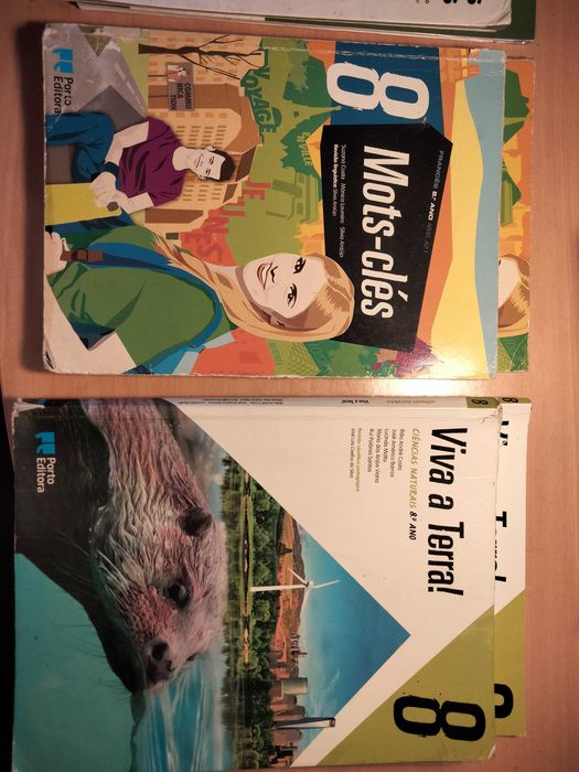 Manuais 8°ano em bom estado