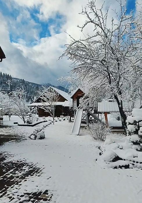 Котедж "ясень"на 2 номери 4-8 місць