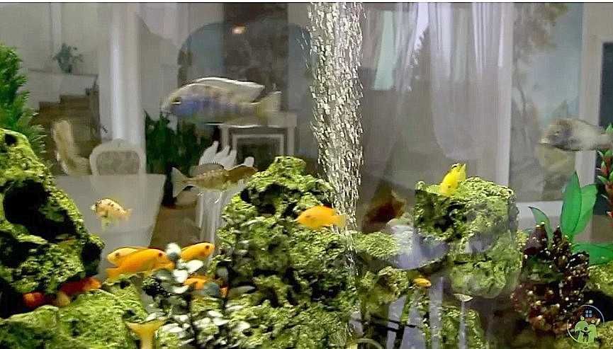 с апреля и на лето! Дом с бассейном Совиньон