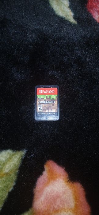 Minecraft Nintendo Switch