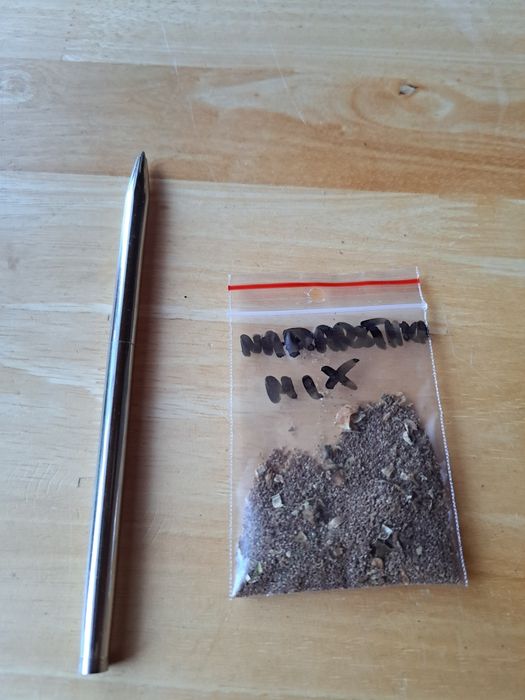 Nasiona naparstnica mix