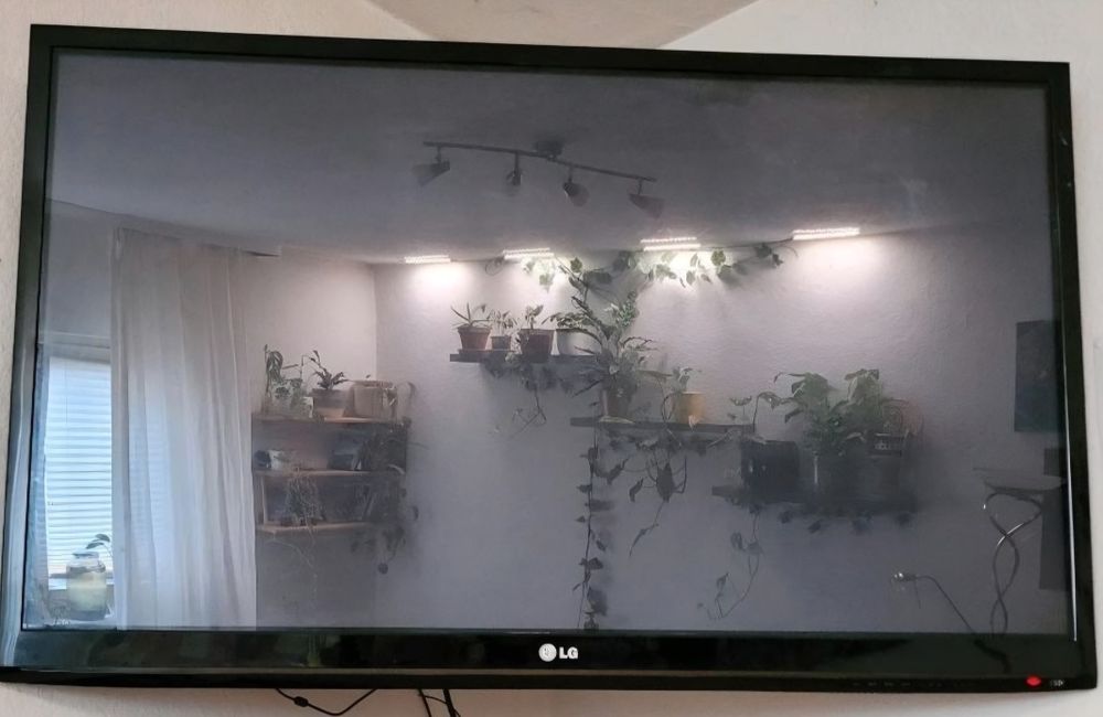 Lg 50cali telewizor