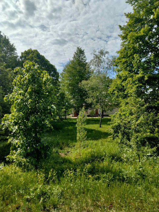 Продам комерційне приміщення