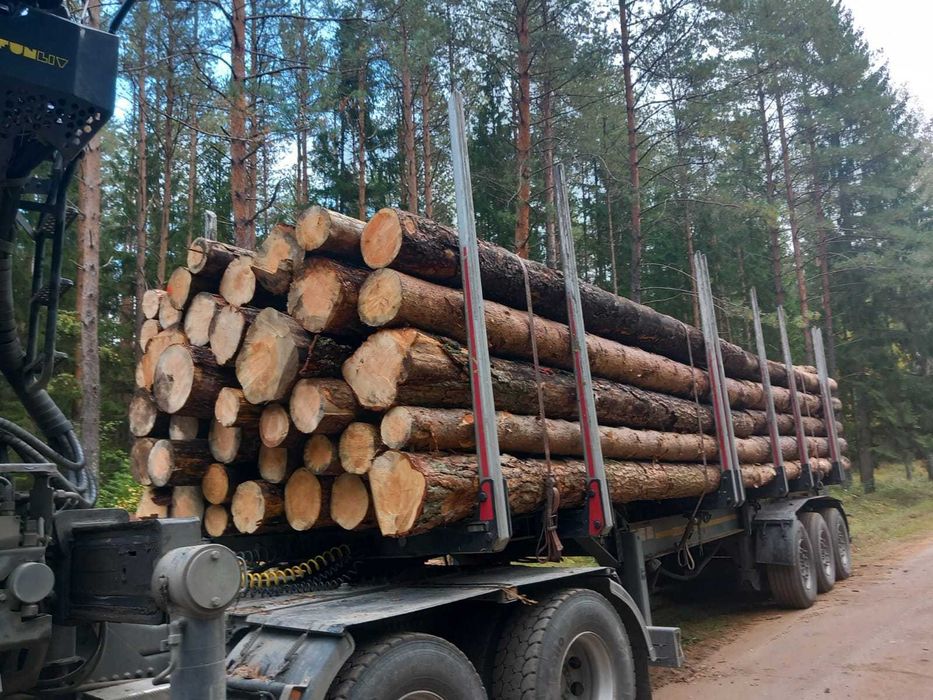 Drewno Okrągłe Tartaczne w ciągłej sprzedaży, Transport cała Polska