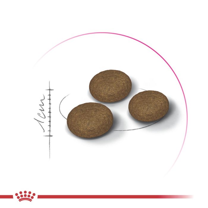 Royal Canin FUSSY 4 кг, Роял Канін Фассі, 4 кг
