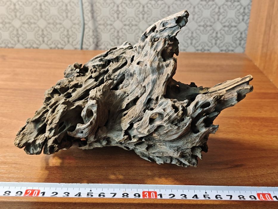 Корень лабиринт для аквариума