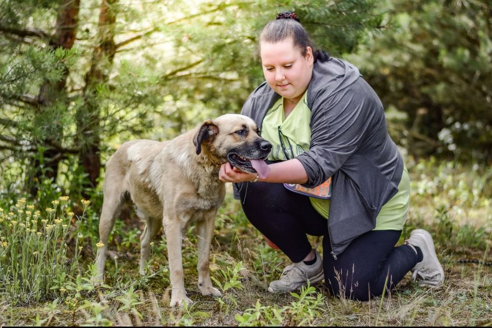 Odynek poleca się do adopcji