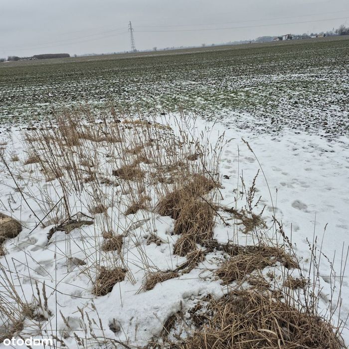 Udział 1/2 w prawie własności nieruchomości gruntowej - Widok 4