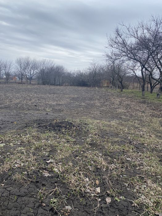 Продам дачу Біла Церква