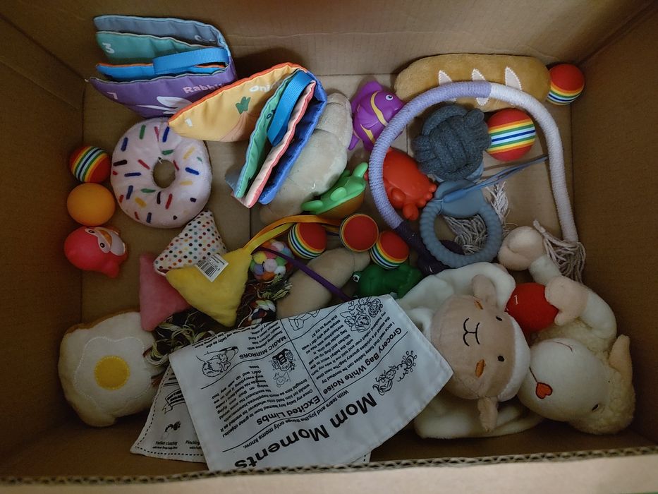 Wyprawka dla szczeniaka małej rasy - legowisko, ubranka, zabawki