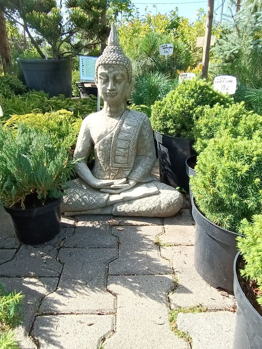 Figura antyczna z betonu Budda
