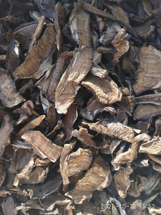 Гриби підберезники сушені