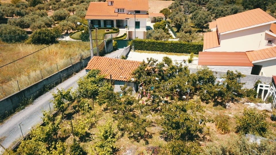 Lote para construção ou quintinha dentro da cidade - 2100m2