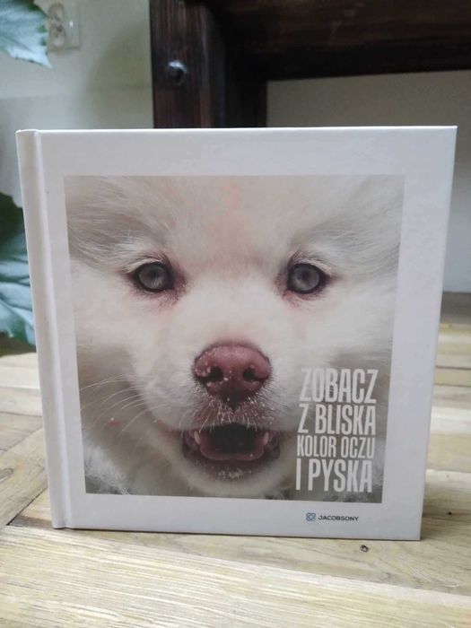 Książka ,,Zobacz z bliska kolor oczu i pyska''