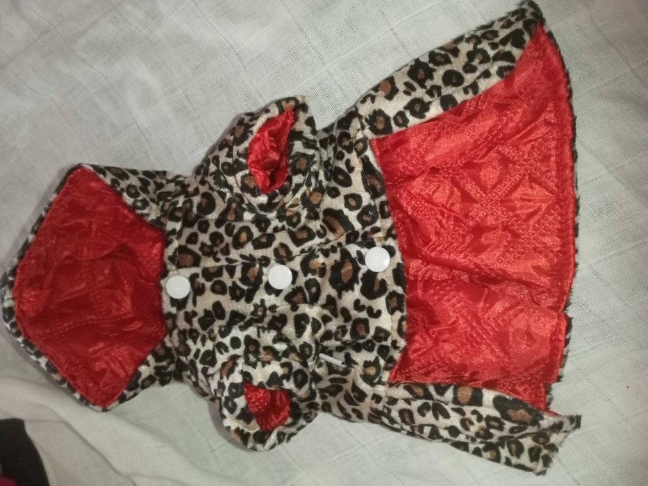 Roupinhas cães pequenos novas